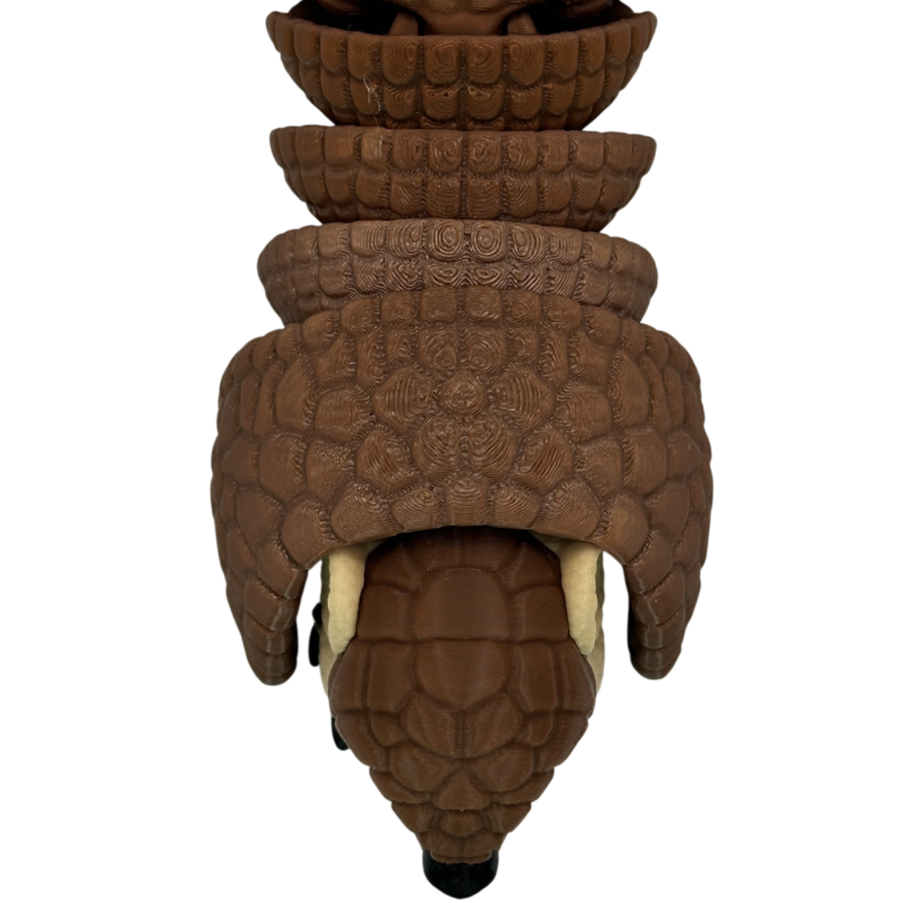 Roll-Up Armadillo 4 Roll-Up Armadillo