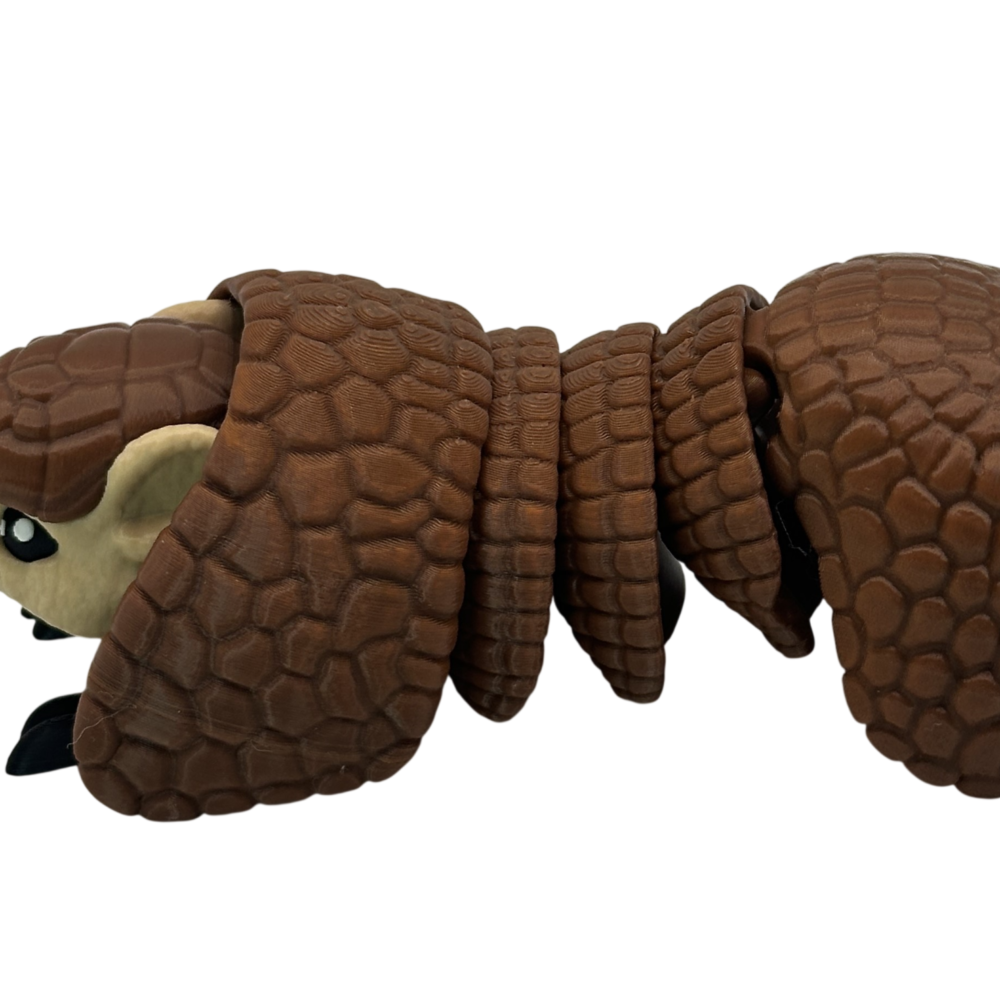 Roll-Up Armadillo 5 Roll-Up Armadillo