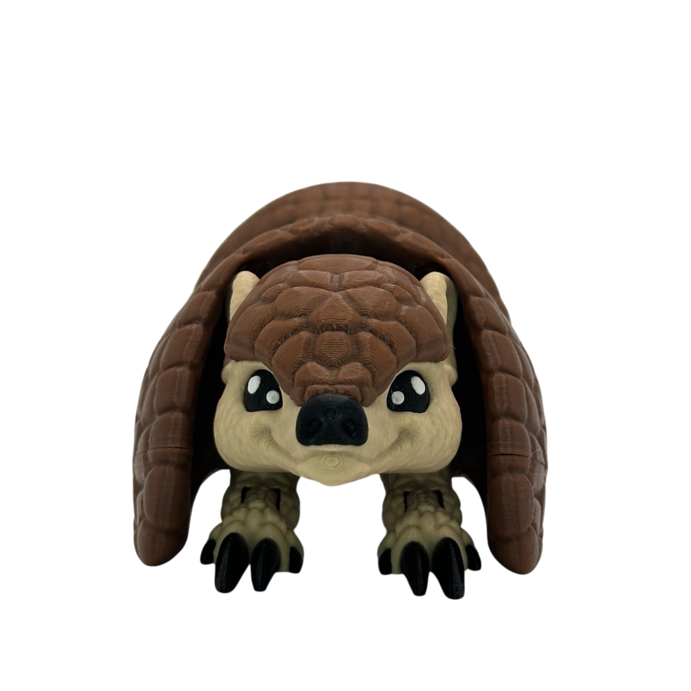 Roll-Up Armadillo 6 Roll-Up Armadillo
