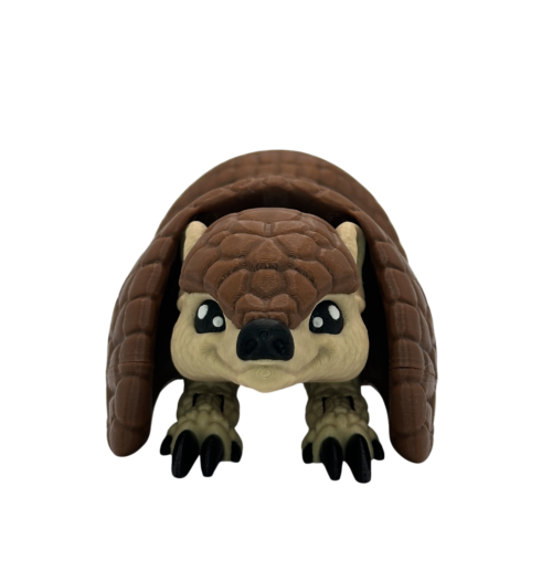 Roll-Up Armadillo 6 Roll-Up Armadillo