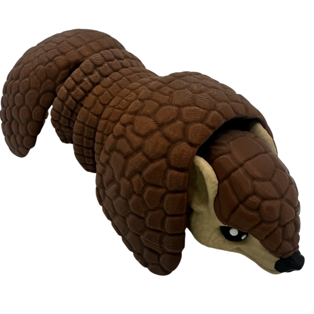 Roll-Up Armadillo 7 Roll-Up Armadillo