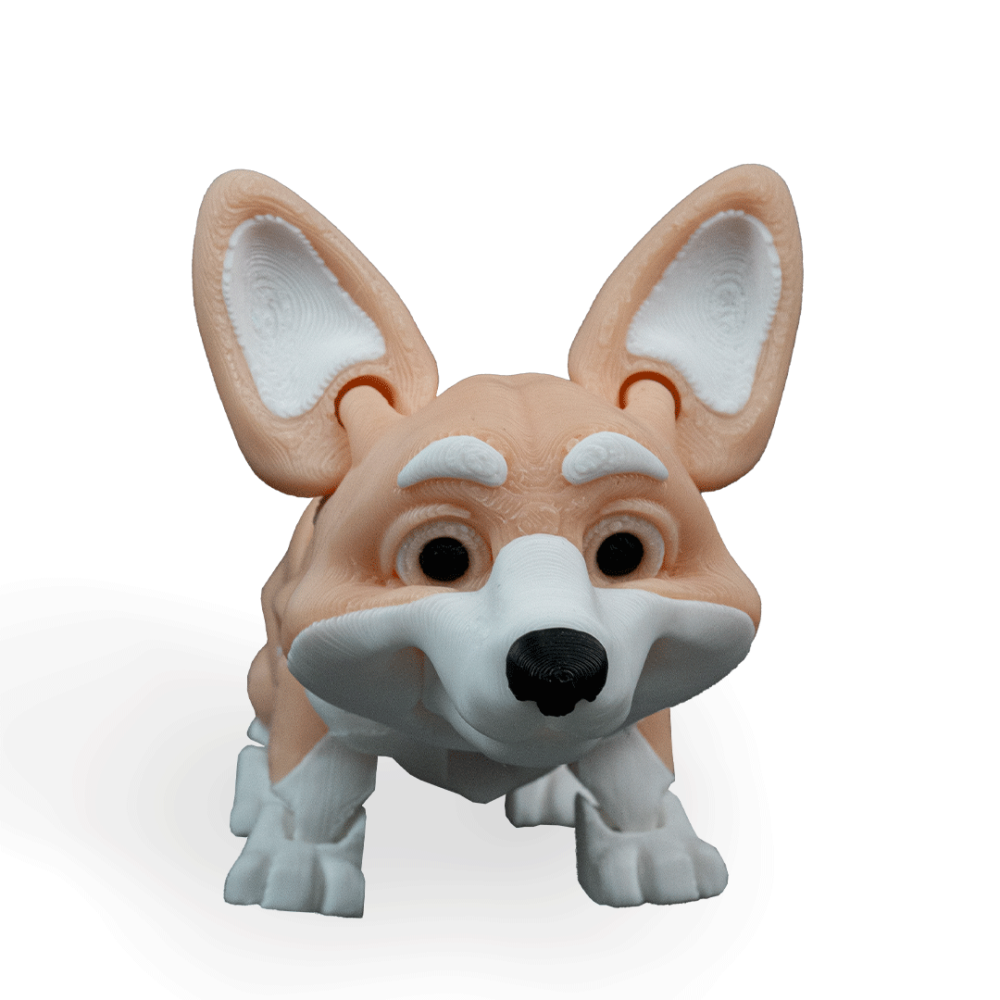 Rufus, The Welsh Corgi