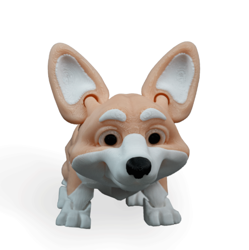 Rufus, The Welsh Corgi