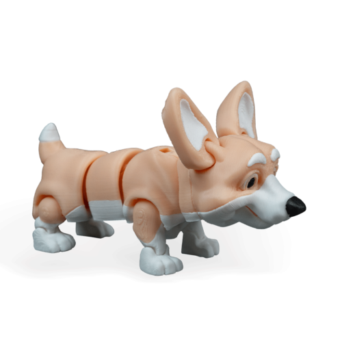 Rufus, The Welsh Corgi