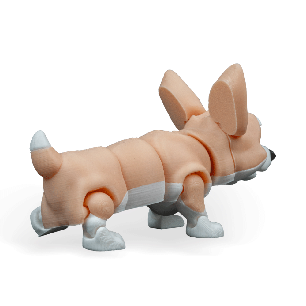 Rufus, The Welsh Corgi