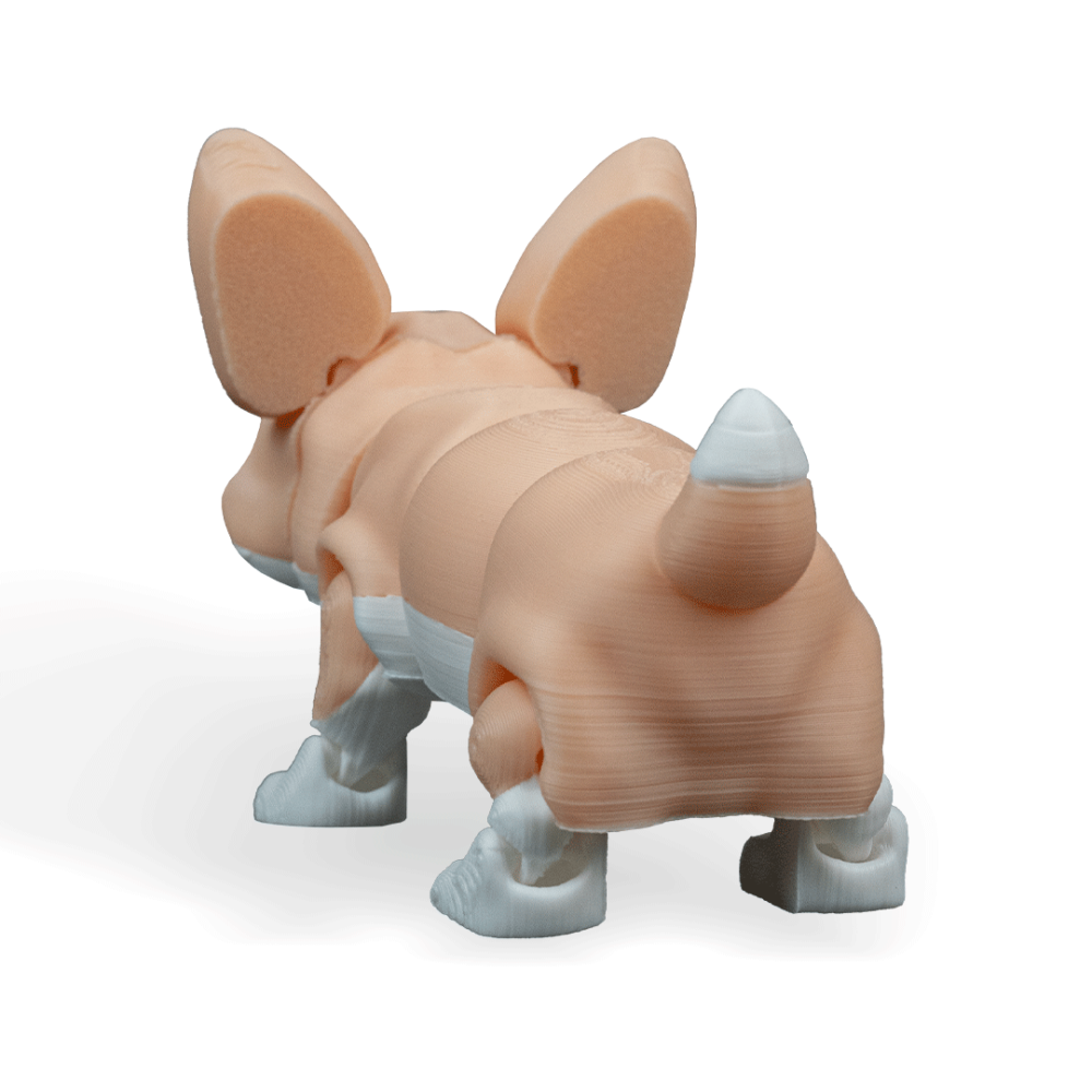 Rufus, The Welsh Corgi