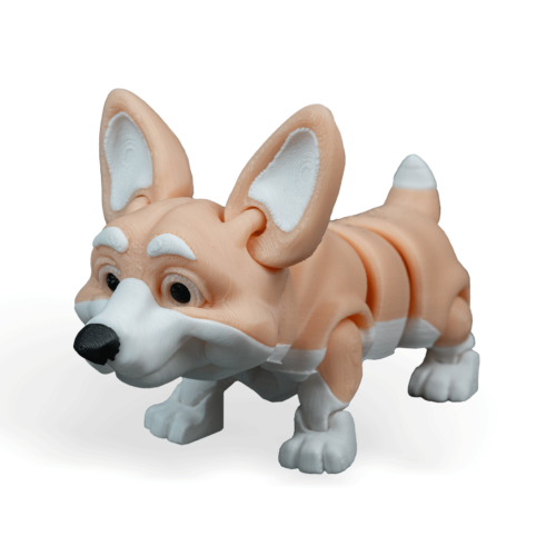 Rufus, The Welsh Corgi