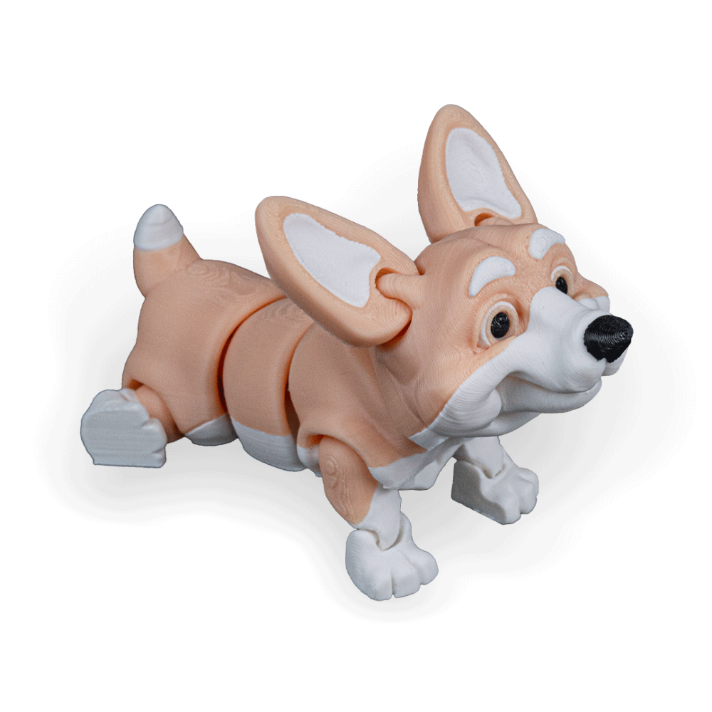 Rufus, The Welsh Corgi