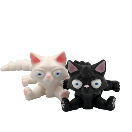 Busya The Cat - Combo Black and White