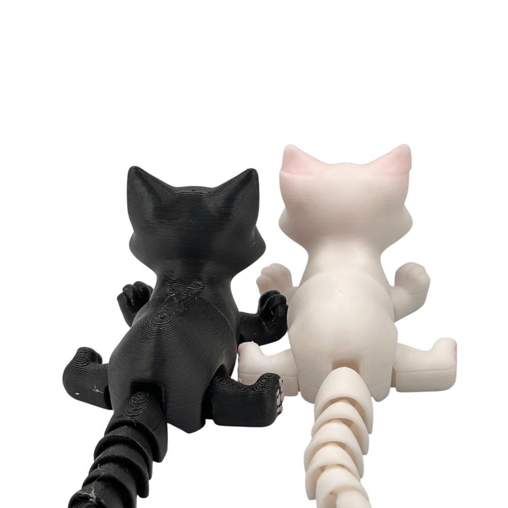 Busya The Cat - Combo Black and White
