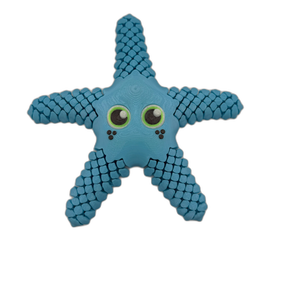 Sandy Sea Star Blue_1_WB Sandy Sea Star - Blue