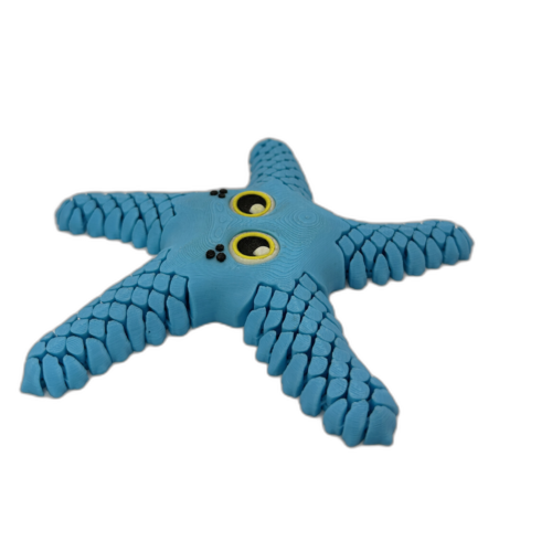 Sandy Sea Star Blue_3_WB Sandy Sea Star - Blue