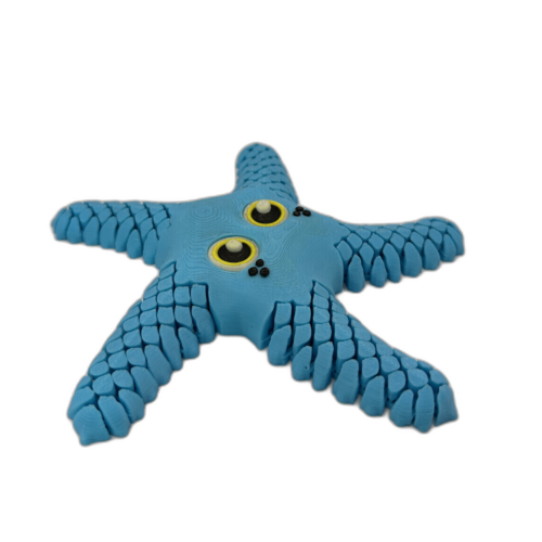 Sandy Sea Star Blue_4_WB Sandy Sea Star - Blue