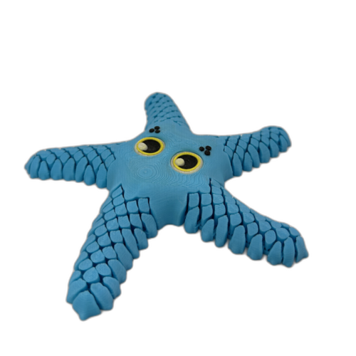 Sandy Sea Star Blue_5_WB Sandy Sea Star - Blue