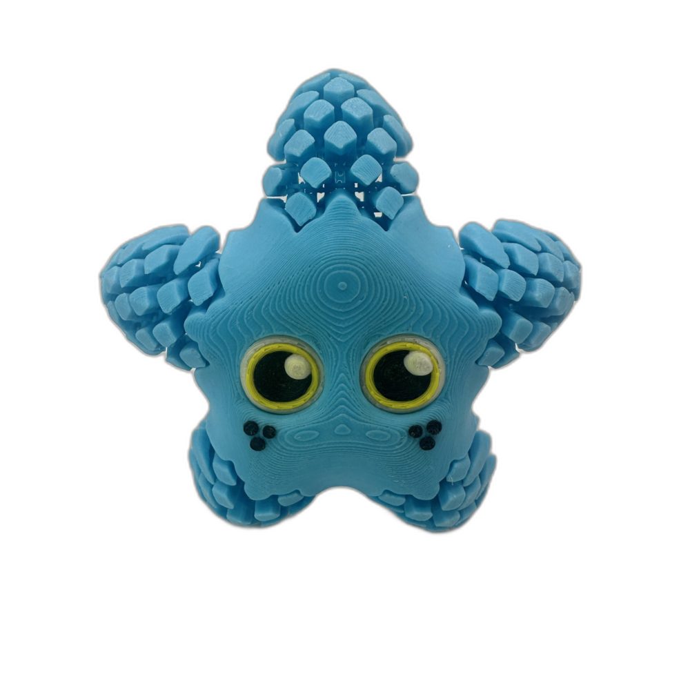 Sandy Sea Star Blue_7_WB Sandy Sea Star - Blue