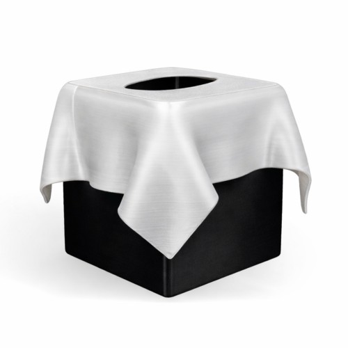 Sculptis 2 Sculptis Tissue Box
