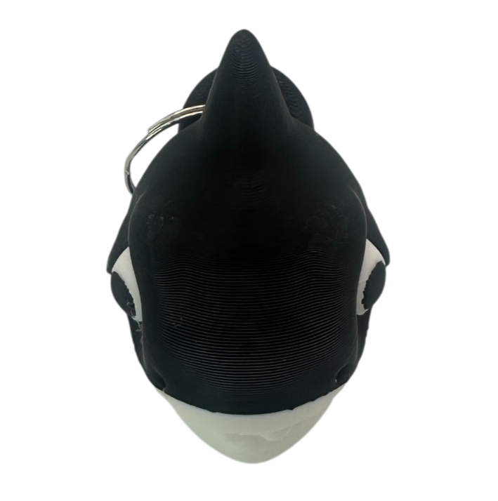Shark Head Clicker 2 Shark - Clicker