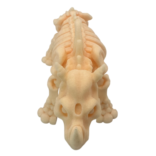 Skeleton Rhino Beige_1 Skeleton Rhino - Beige