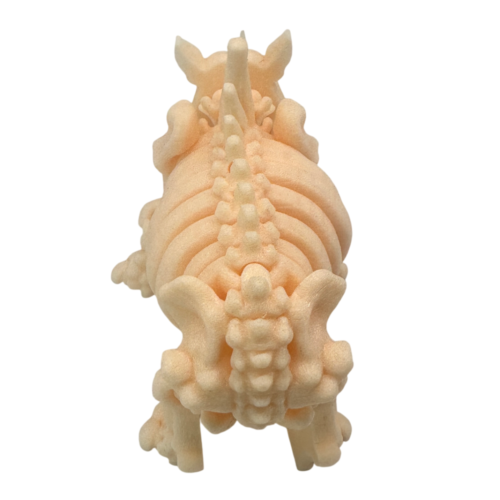 Skeleton Rhino Beige_6 Skeleton Rhino - Beige
