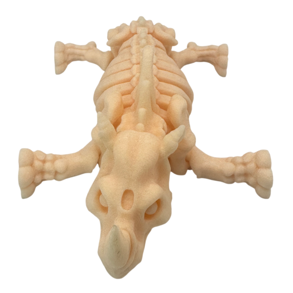 Skeleton Rhino Beige_7 Skeleton Rhino - Beige