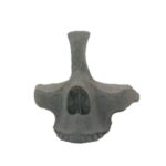 Skull Eye Glasses Holder