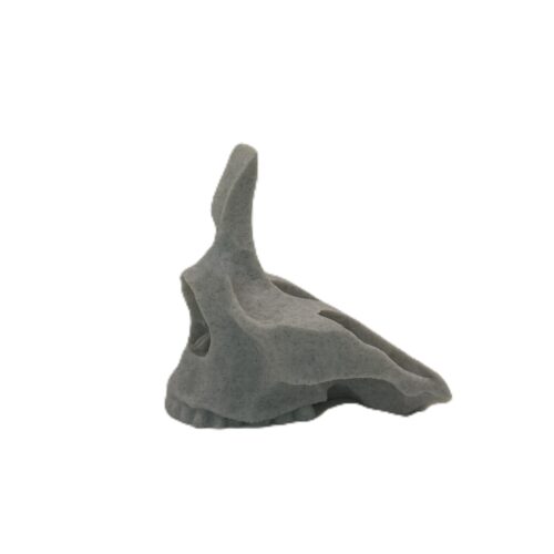 Skull Eye Glasses Holder