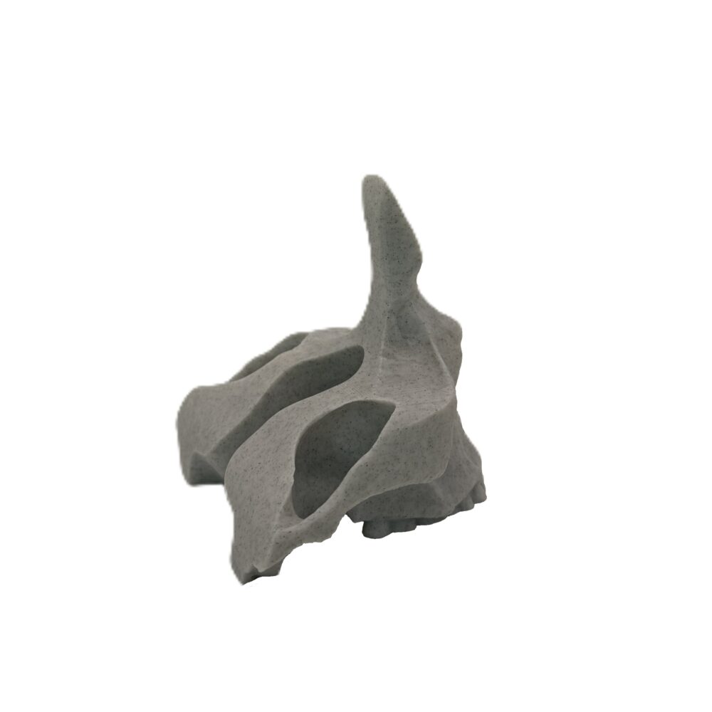 Skull Eye Glasses Holder