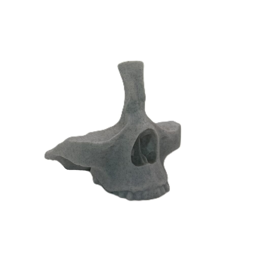 Skull Eye Glasses Holder