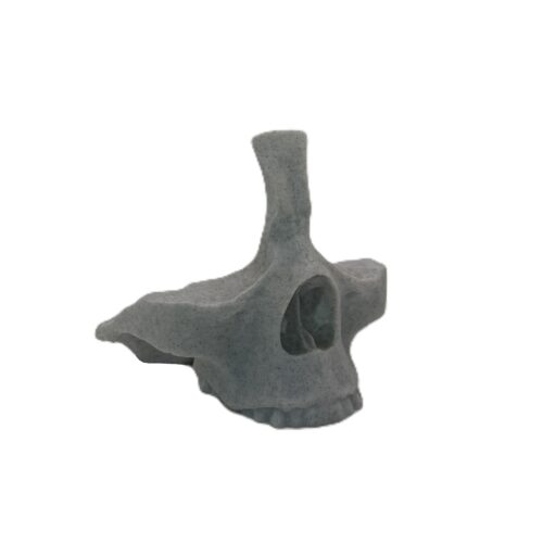 Skull Eye Glasses Holder