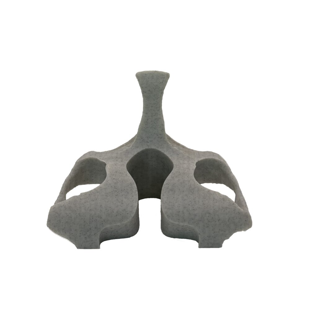 Skull Eye Glasses Holder