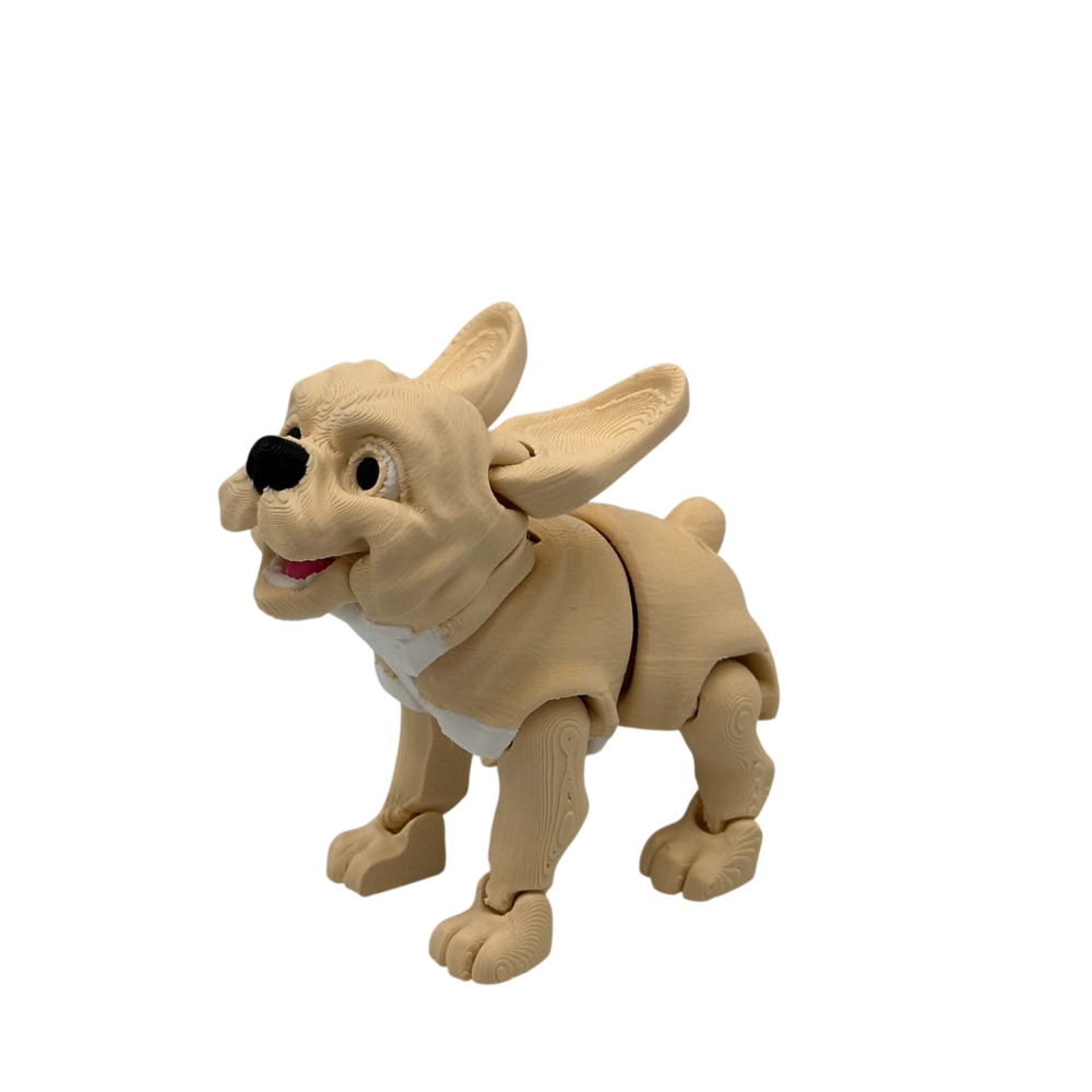 Stella, The French Bulldog - Brown