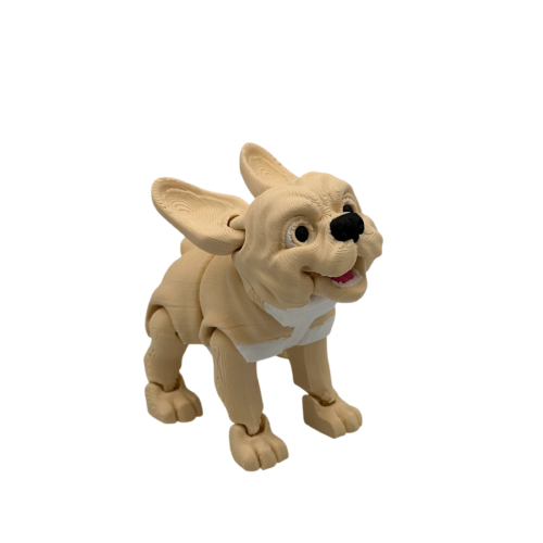 Stella, The French Bulldog - Brown