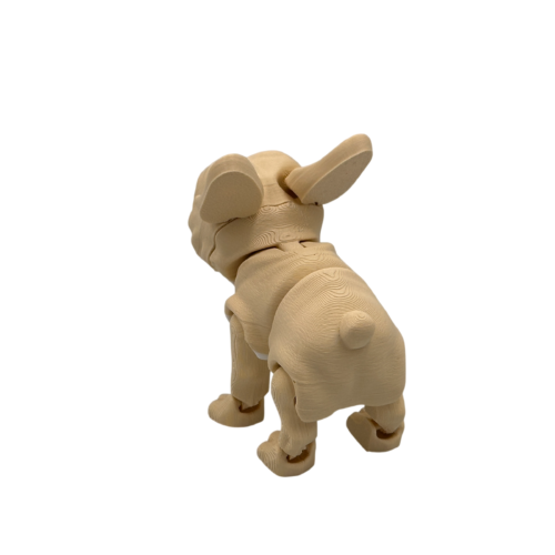 Stella, The French Bulldog - Brown