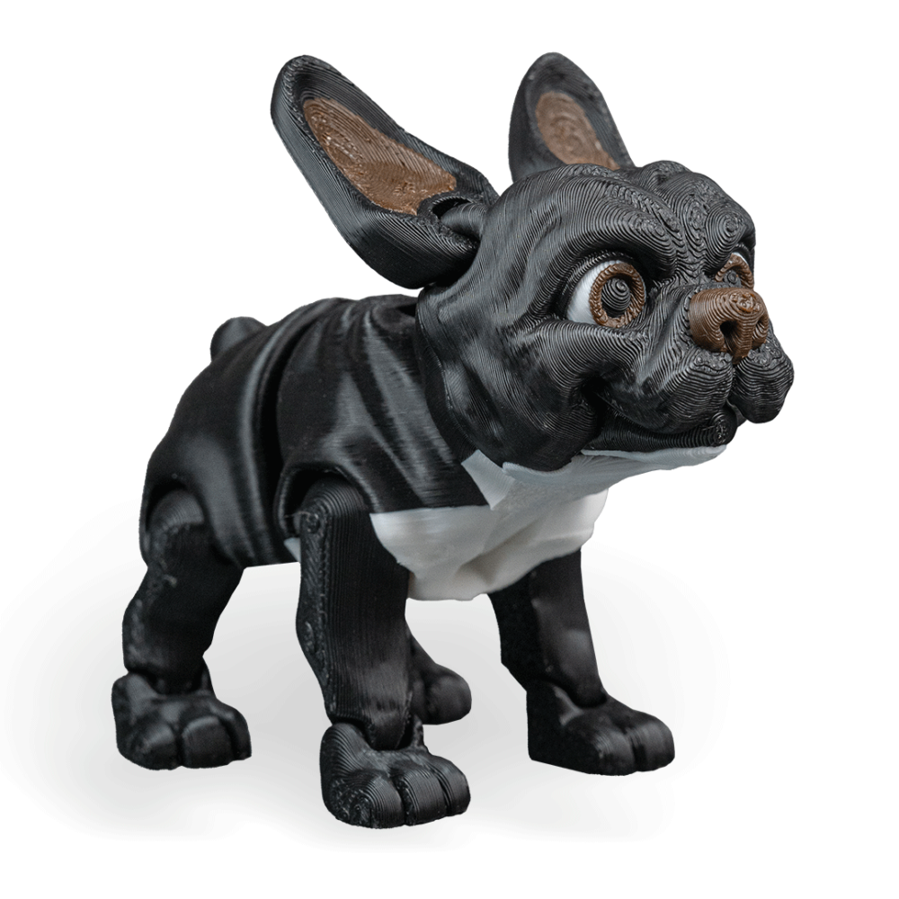 Stella, The French Bulldog - Black