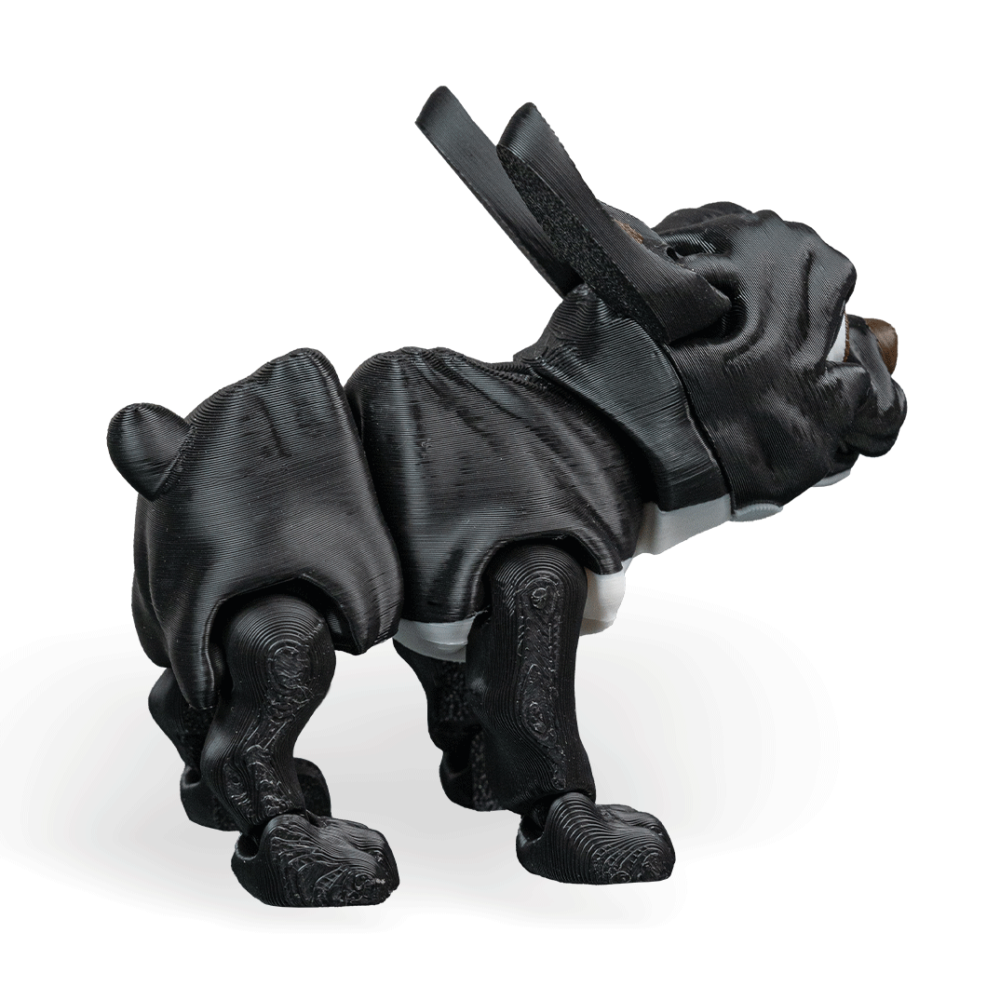 Stella, The French Bulldog - Black