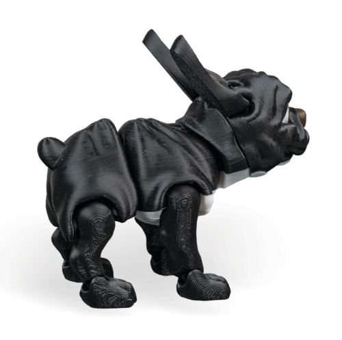 Stella, The French Bulldog - Black