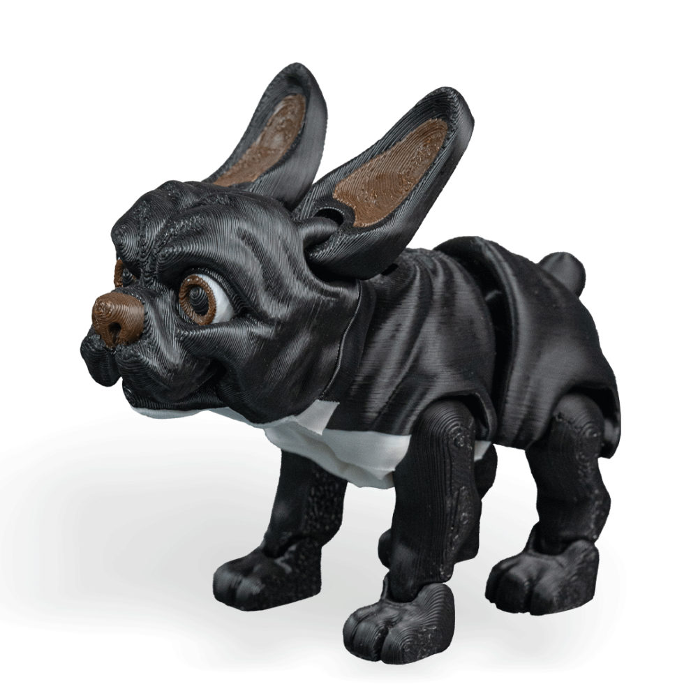 Stella, The French Bulldog - Black