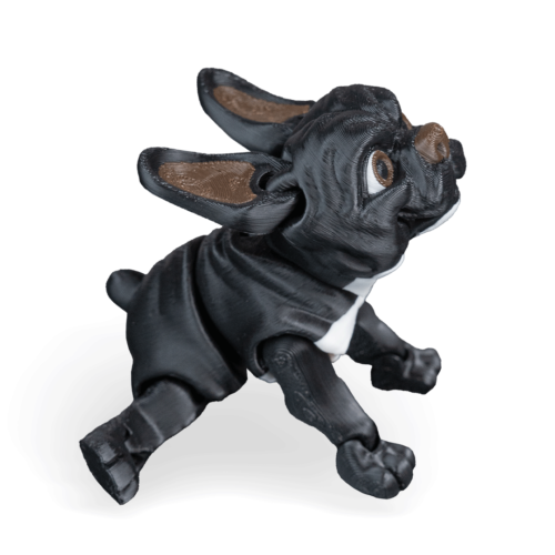 Stella, The French Bulldog - Black