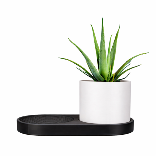 VOXEL 1 Voxel Trinket Dish & Planter