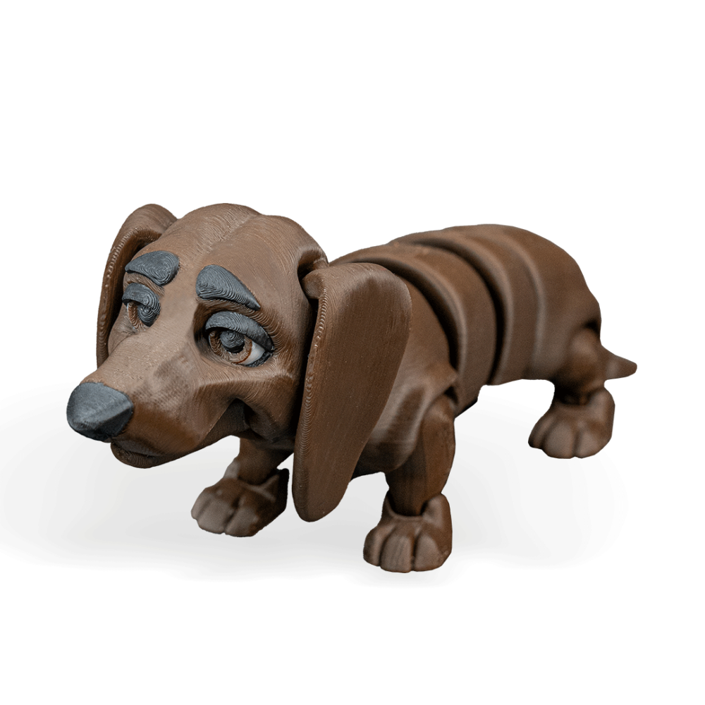 Winston the Dachshund_WB_2 Winston, The Daschshund