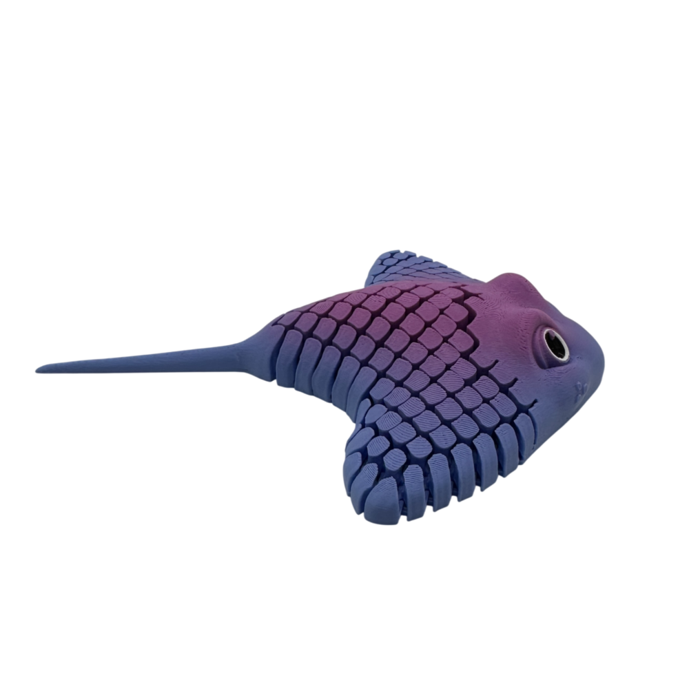 Ray the Manta Ray 3 Ray, the Manta Ray - Sensory Toy