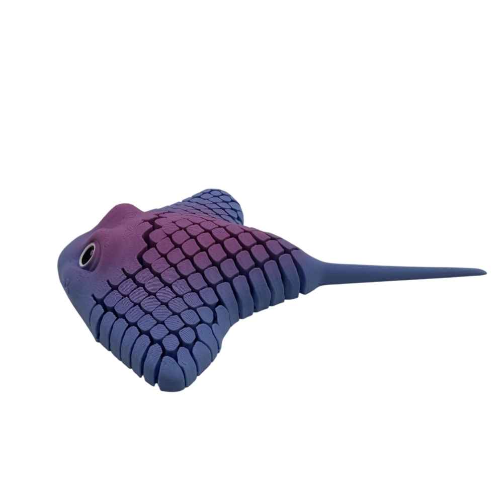 Ray the Manta Ray 4 Ray, the Manta Ray - Sensory Toy