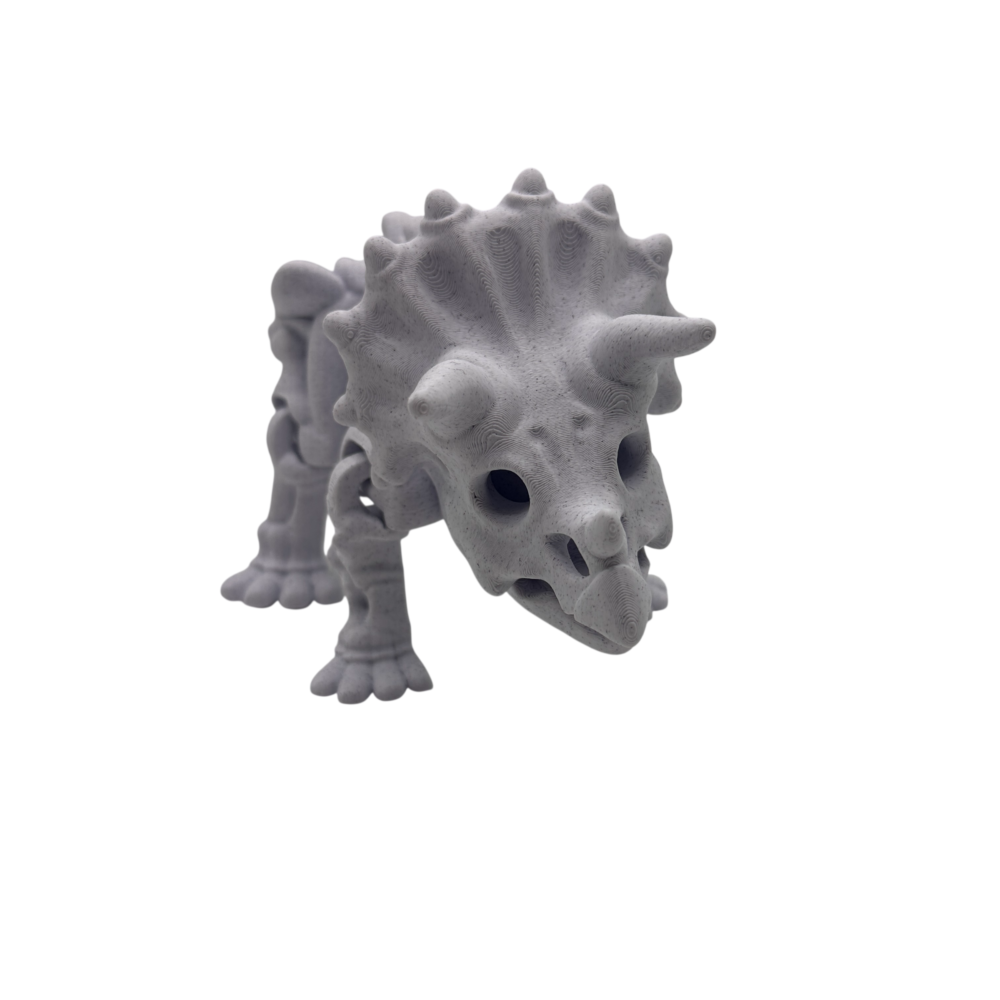 Skeleton Triceratops Toy
