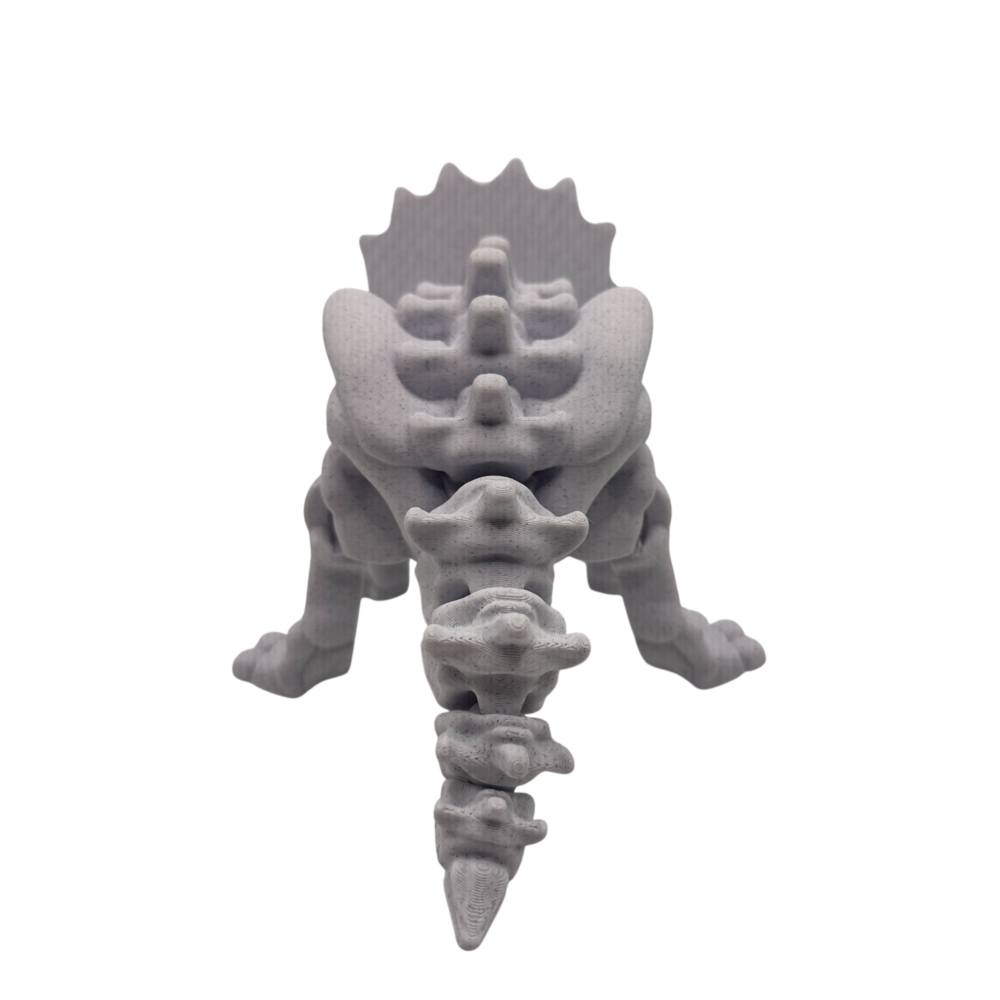 Skeleton Triceratops Toy