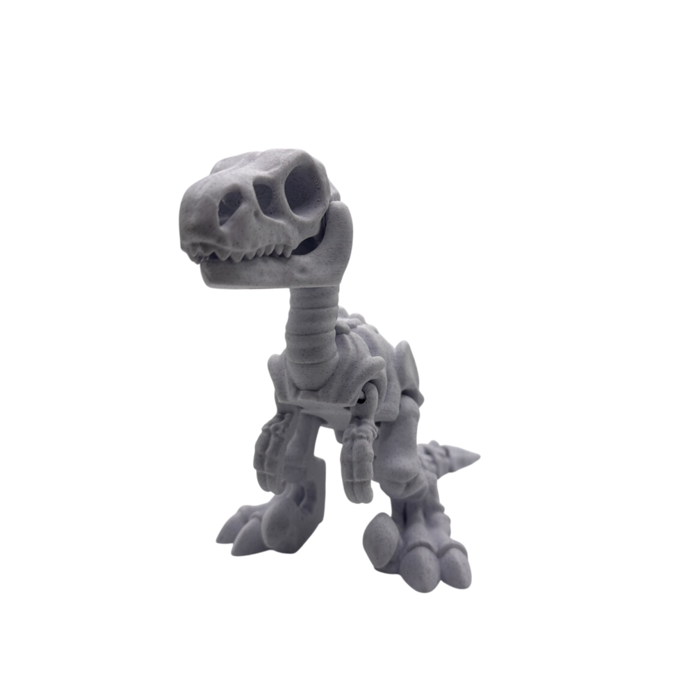 Skeleton Velociraptor Toy